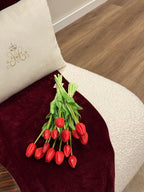 Tulipas Vermelhas