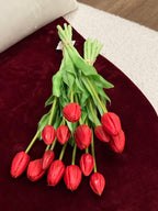 Tulipas Vermelhas