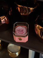 Caixa Rosa Eterna